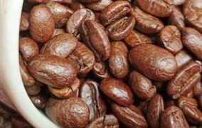 ca-phe-arabica-pha-may-escovina-010423-1_100