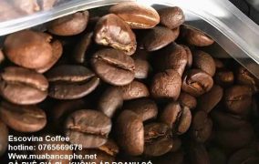 ca-phe-robusta-buon-me-thuot-escovina-coffee-0765669678-150126_1_100