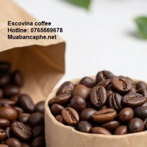 ca-phe-robusta-se-escovina-coffee-0765669678_150126_1_10