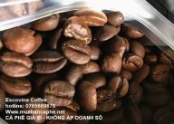 ca-phe-robusta-buon-me-thuot-escovina-coffee-0765669678-150126_1_100